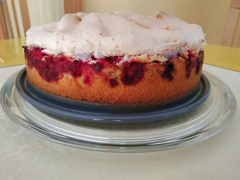 Johannisbeerkuchen