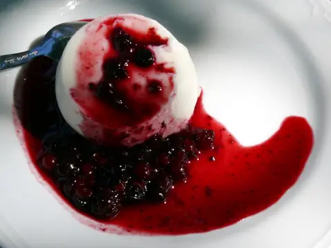 Panna Cotta