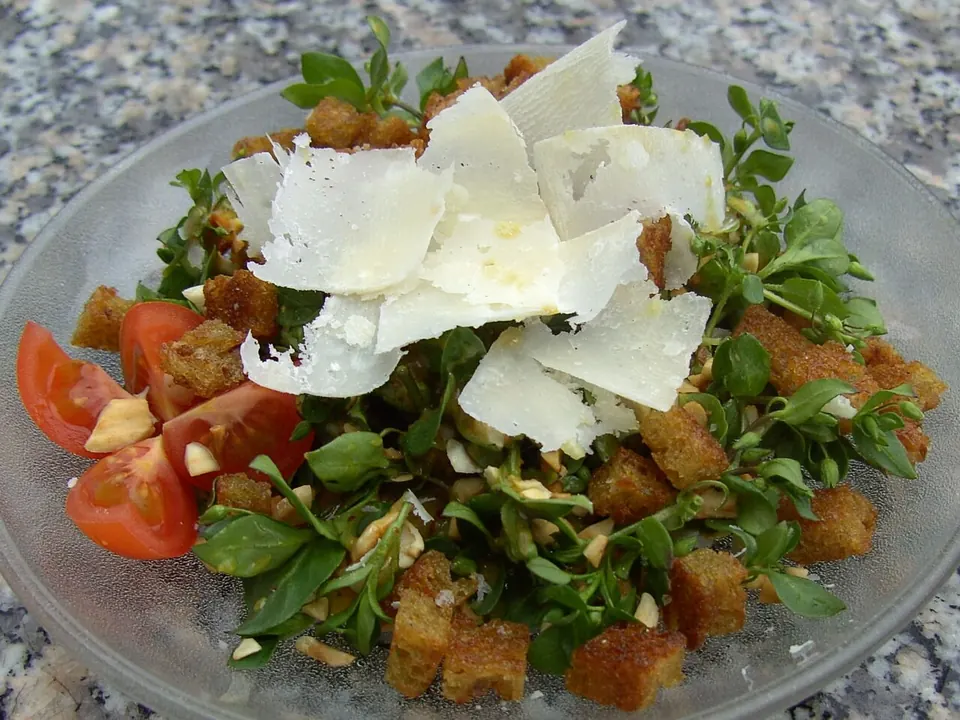 Vogel-Sternmieren-Salat